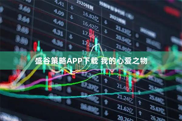 盛谷策略APP下载 我的心爱之物