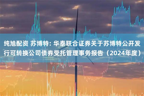 纯旭配资 苏博特: 华泰联合证券关于苏博特公开发行可转换公司债券受托管理事务报告（2024年度）
