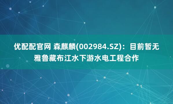 优配配官网 森麒麟(002984.SZ)：目前暂无雅鲁藏布江水下游水电工程合作